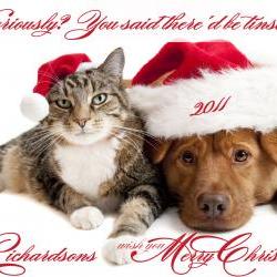 Photo Christmas Card Pets Dog Cat Pet Photo Card - 7" x 5"
